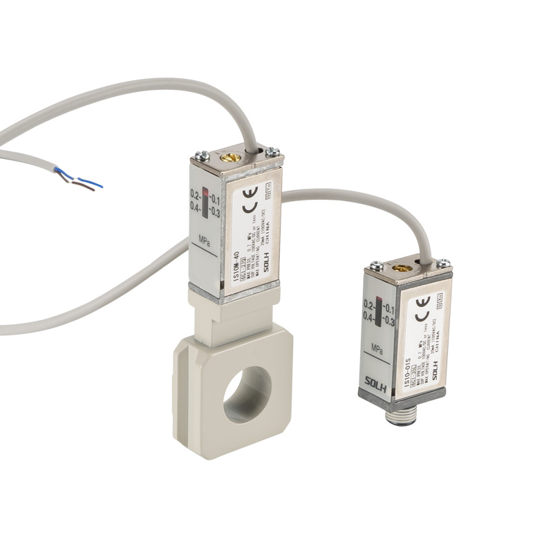 IS10 Series Reed Tube Mekanisk Trykkontakt